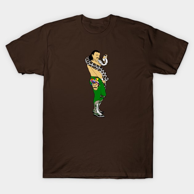 master of the ddt T-Shirt by BradyRain